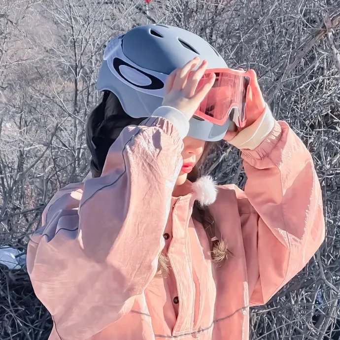 巨齿鲨
